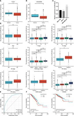 Identification and comprehensive analysis of epithelial–mesenchymal transition related target genes of miR-222-3p in breast cancer